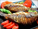 Рыболовная база «Раскаты» Астрахань